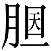 第7关-有胆和天字的成语答案是什么